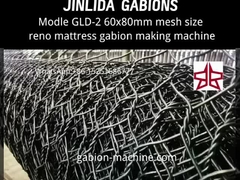 GLD-2-6080-5300 Machine automatique de fabrication de gabions de matelas de renon fabriquée à Jinlida.