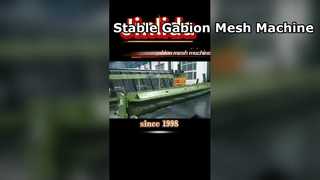 Machine à gabions conçue pour l'expansion de l'usine et la stabilité à long terme